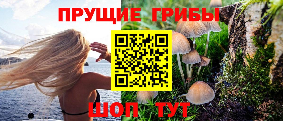 где купить наркоту  Вход с VPN  Луховицы  Галлюциногенные грибы MAGIC MUSHROOMS 