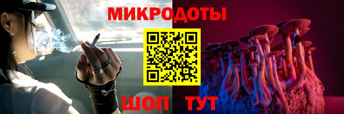 Галлюциногенные грибы Psilocybe Луховицы